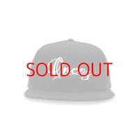 HIDE & SEEK  ONE OZ Baseball CAP