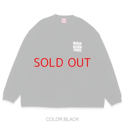 画像1: HIDE & SEEK  HAS L/S Tee