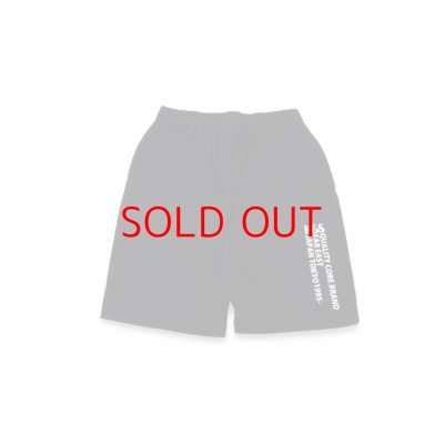 画像2: HIDE&SEEK  H&S Logo Short