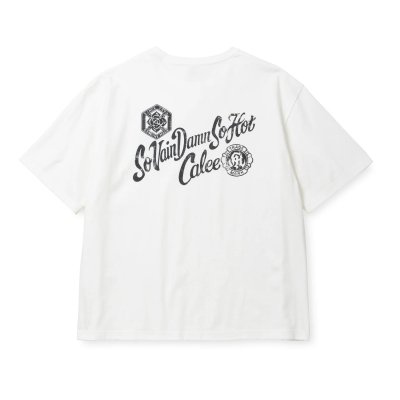 画像4: CALEE  VINTAGE TYPE S.V.D.S.H S/S TEE ＜NATURALLY PAINT DESIGN＞