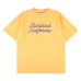 画像1: SD Heavyweight Modern Twist Signs Logo T (1)