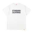 画像1: SALE  30%OFF  SD US Cotton Logo T (1)