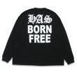 画像3: HIDE & SEEK  HAS L/S Tee (3)