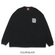 画像1: HIDE & SEEK  HAS L/S Tee (1)