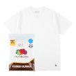 画像1: SD  Fruit of the Loom × SD 2Pack T (1)