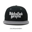 画像3: HIDE & SEEK  Born Free Baseball Cap (3)