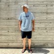 画像4: SD Easy Chino Shorts (4)