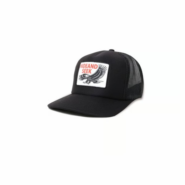 画像1: HIDE&SEEK  Eagle Mesh CAP (1)